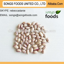 Price of white kidney beans